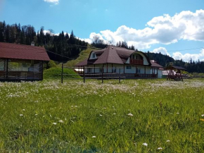 Podu Coșnei